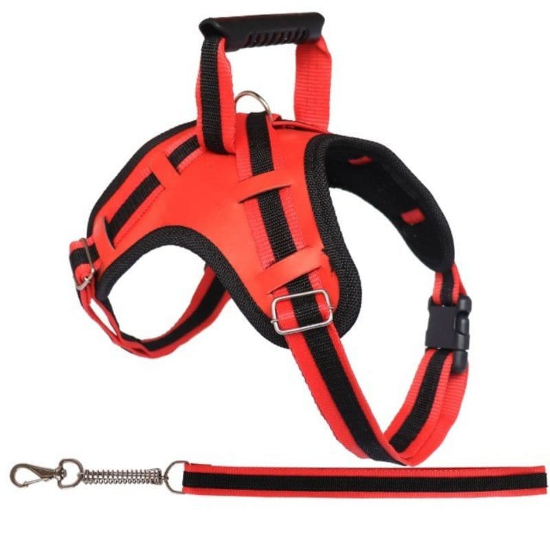 peitoral porte grande peitoral coleira cachorro peitoral modelo x drone