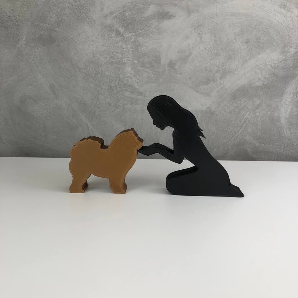 Dueto Menina e seu Chow Chow Pequeno