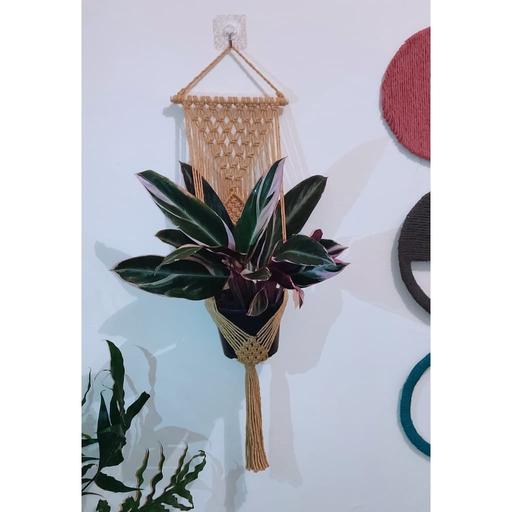 Cabide para plantas com painel em Macramê cor mostarda.