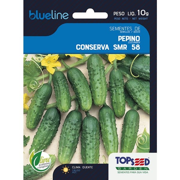 Sementes Pepino Smr para Conserva 10 Gramas Vigoroso Salada Cozinha Horta