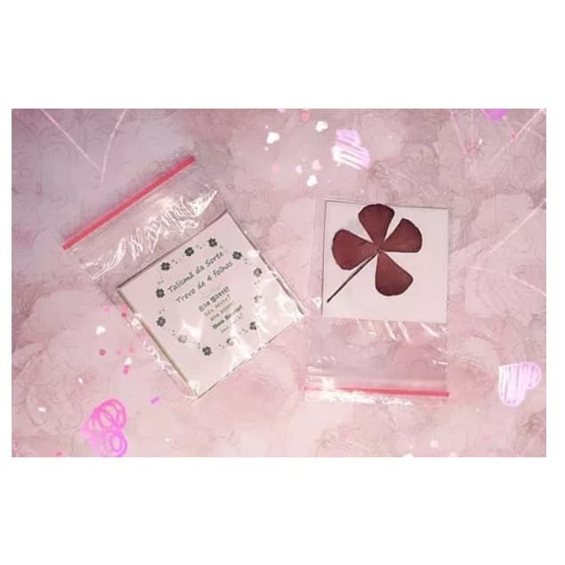 Kit 10 Trevo De 4 Folhas Natural Talismã Amuleto da Sorte ~