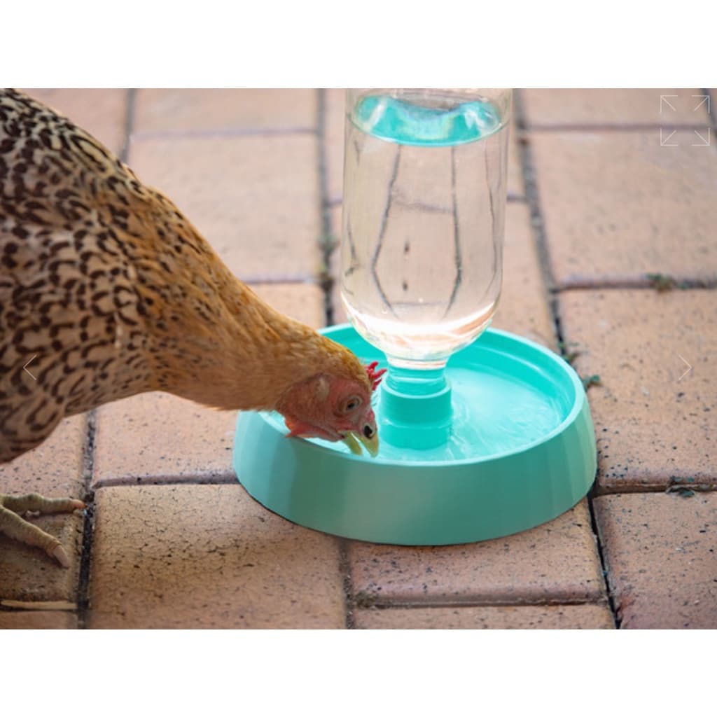 Alimentador Automático para Pet