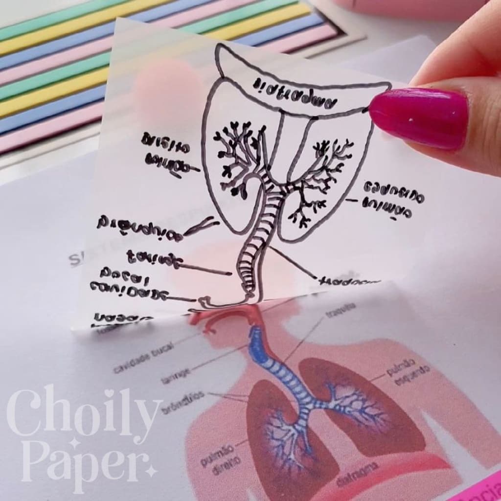 Bloco de Notas Transparente 50 Folhas Marcador Permanente Dual Marker Autoadesivo Escolar