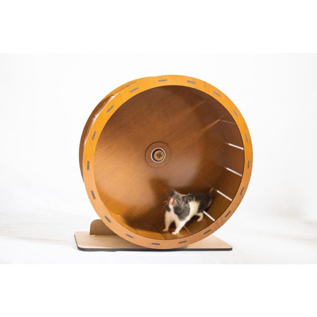 Rodinha Hamster 15/20/25/30cm Silenciosa Roda Bem