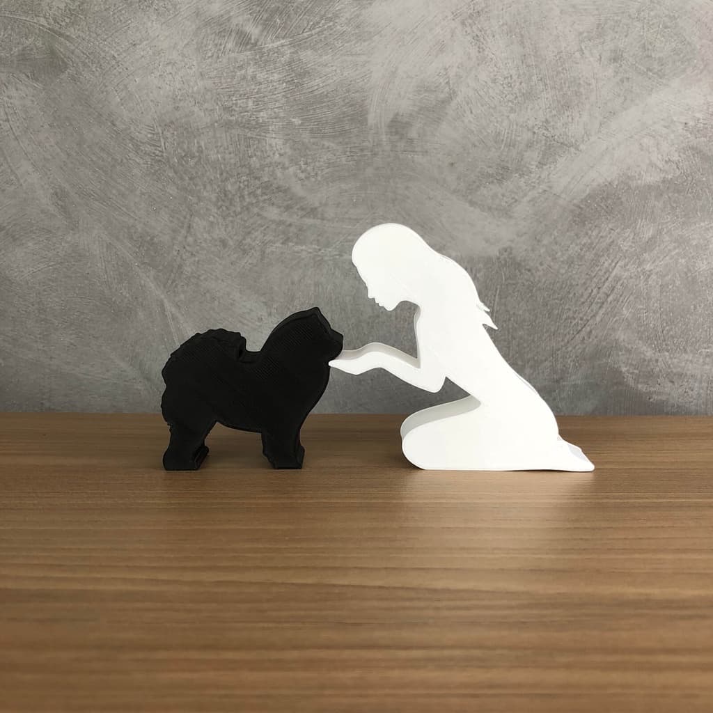 Dueto Menina e seu Chow Chow Pequeno