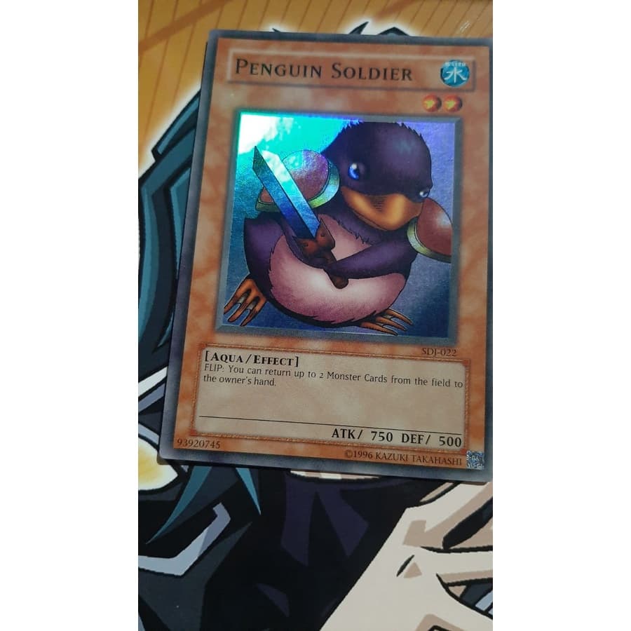 Soldado Pinguim | Penguin Soldier