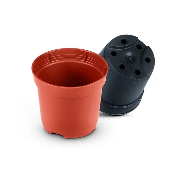 25 Vasos Pote 6 Para Mini Cactos E Suculentas