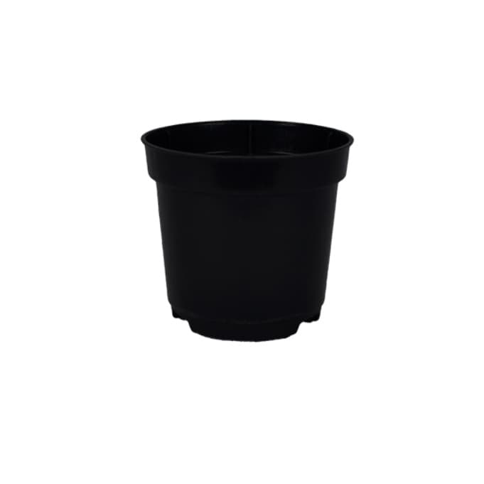 1 Vasinho Pote Numero 6 De 80 Ml Preto para Suculentas Mini Plantas Cactos