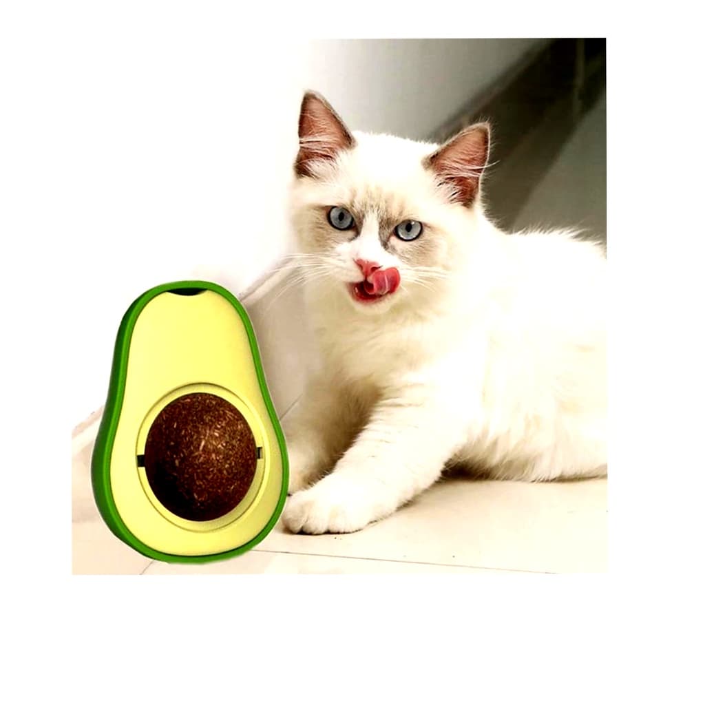brinquedo de gato catnip abacate erva de gato