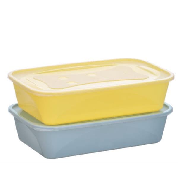 KIT 2 PÇS ORGANIZA 3,6L RETANGULAR NUDE