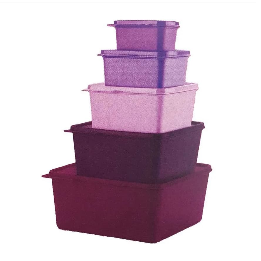 Tupperware Basic Line Organizador de Alimentos com Tampa Original