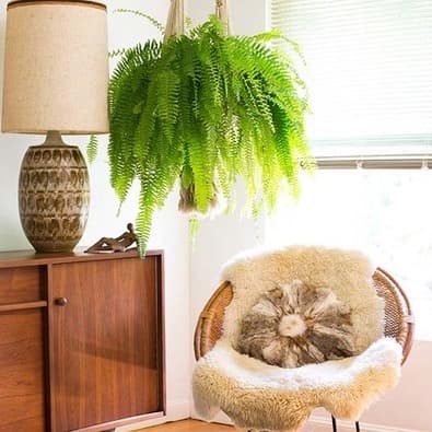 samambaia artificial 40x60cm plantas folhagem decorativa planta para parede,vaso