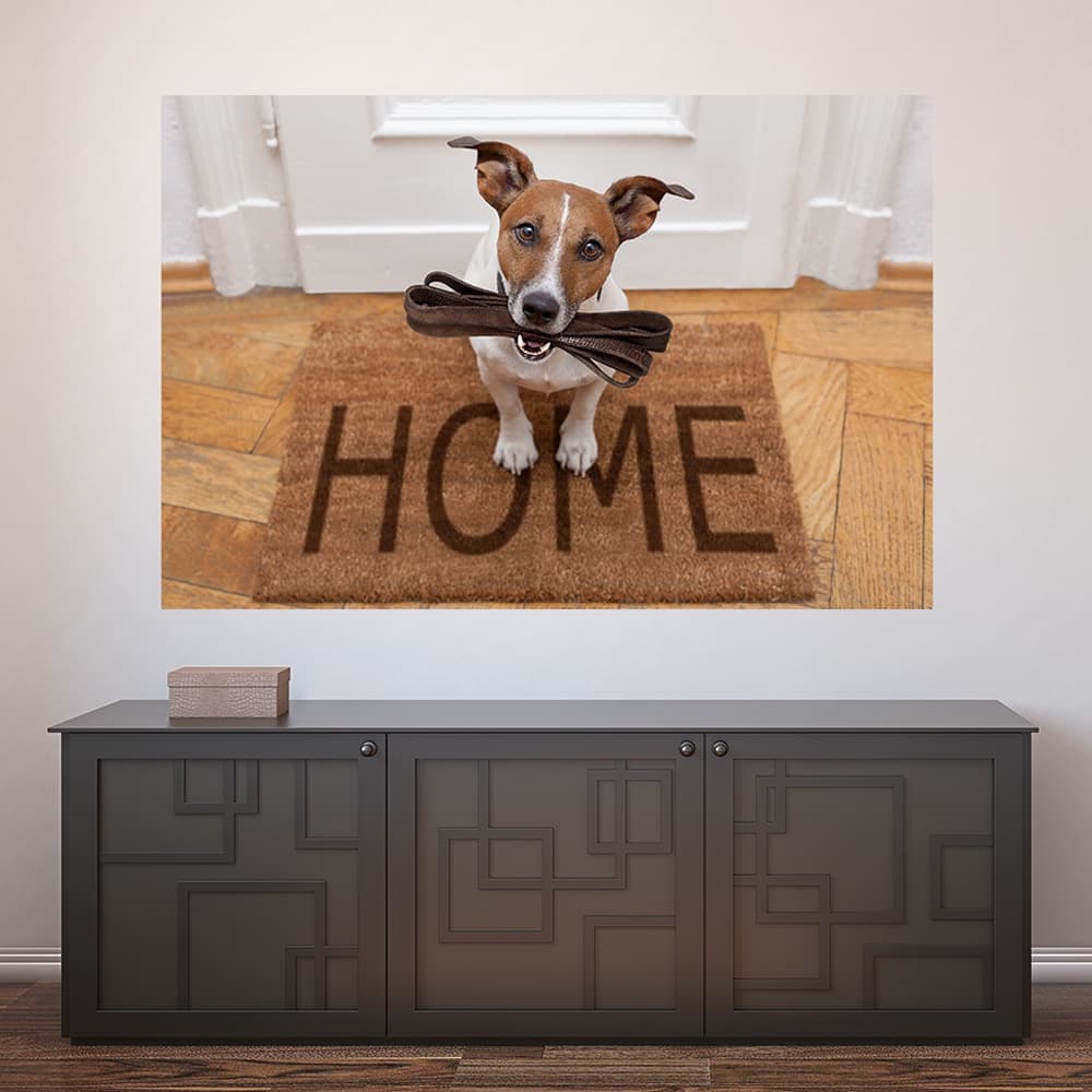 Painel Adesivo Decorativo de Parede Cachorro Pet Shop Veterinário Animais Casa Sala Quarto - 780pn