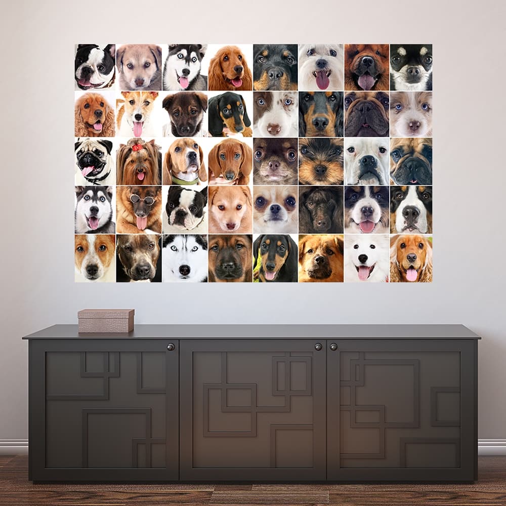 Painel Adesivo Decorativo de Parede Cachorro Pet Shop Veterinário Animais Casa Sala Quarto - 1296pn