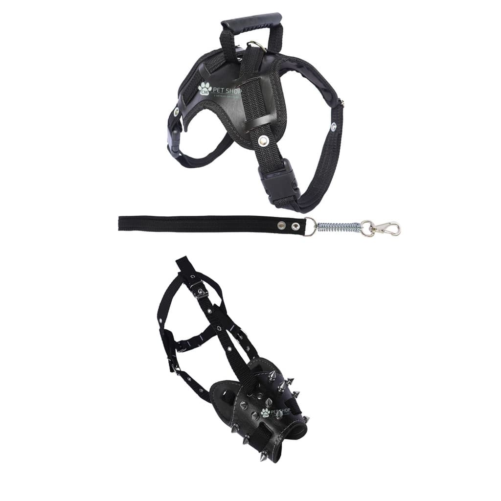 Kit Para Pitbull Peitoral Stilo E.V.A. Focinheira Spike Cravos E Guia Forte