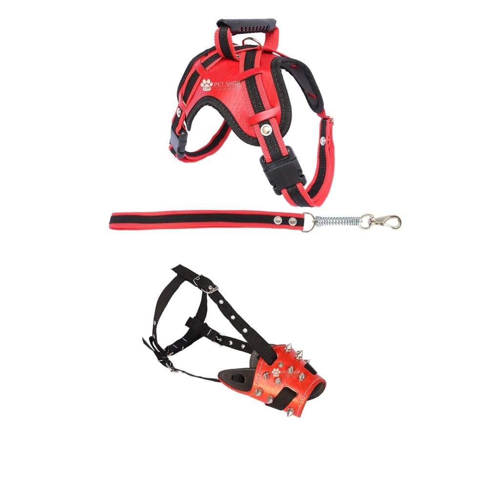 Kit Peitoral Stilo Para Cachorro E.V.A. Focinheira Spike Metal E Guia Leve