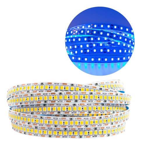 Fita Led 240 Leds 3528 12v Ip20 5m Luz Azul 110v220v