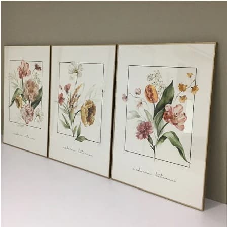 Conjunto de 3 quadros decorativos Moderna Botânica.