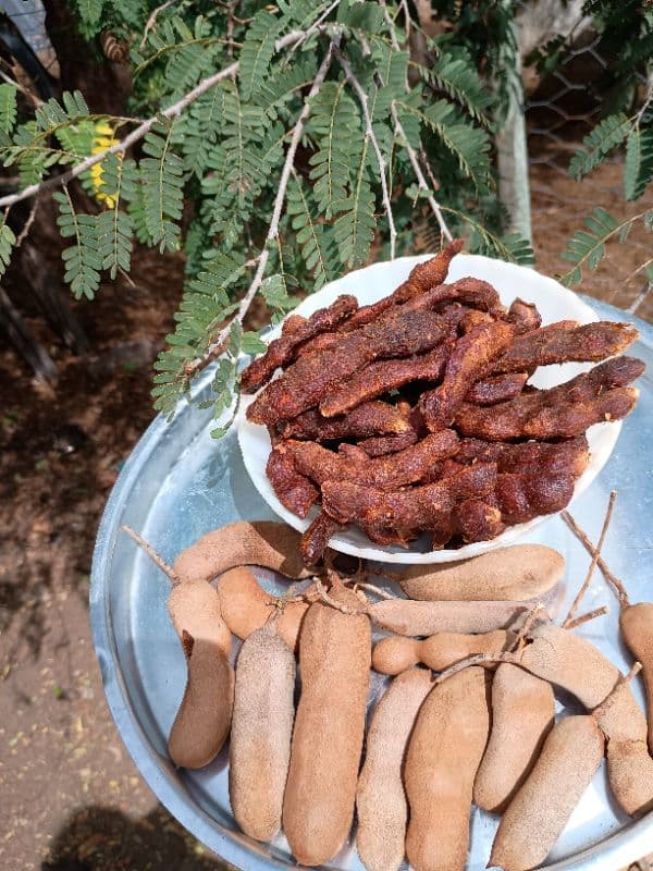 tamarindo natural descascado pacote 500 gramas