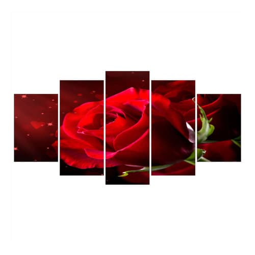 Kit 5 Quadros Decorativo Flor Vermelha Botao Rosa Sala