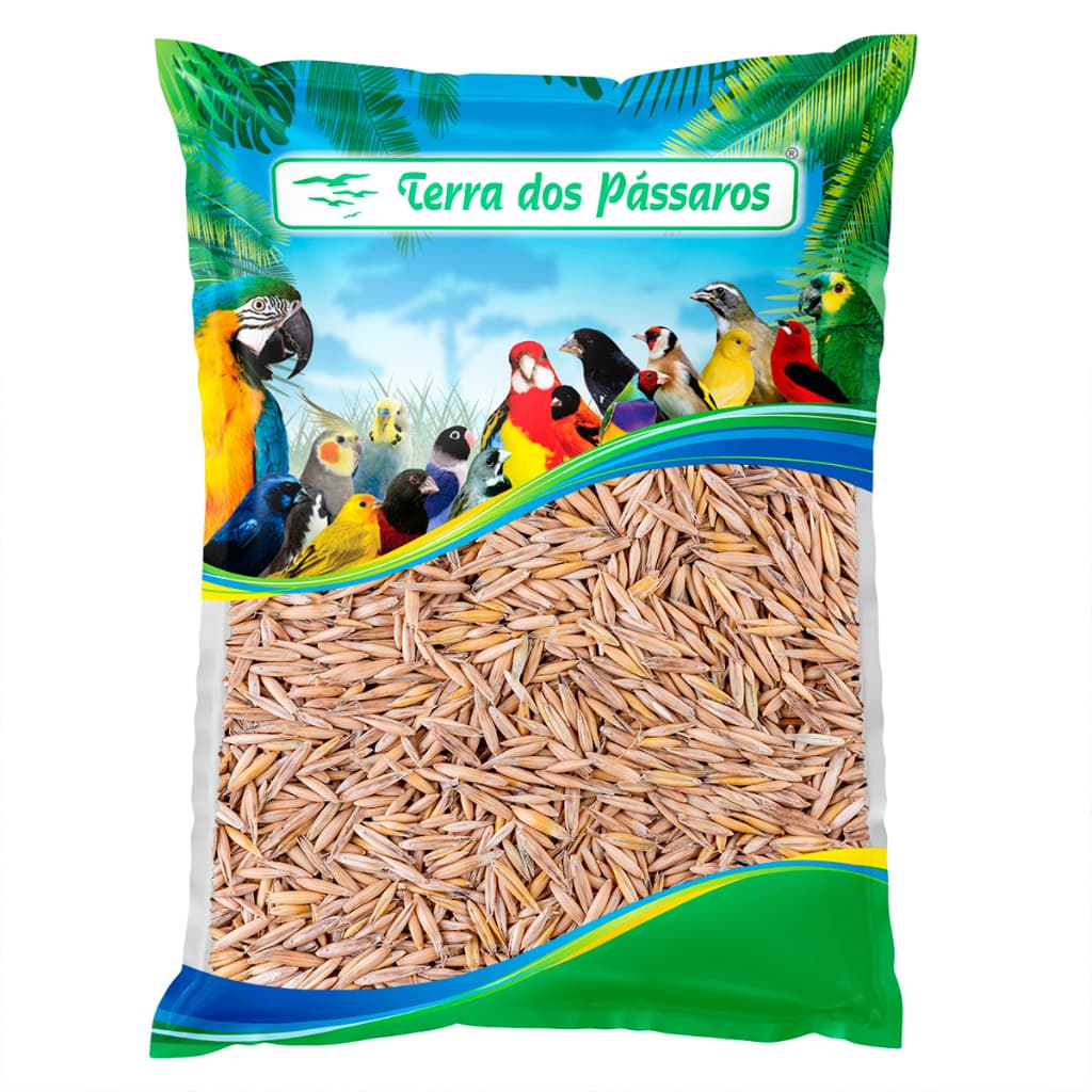 Semente de Aveia com Casca - 500g