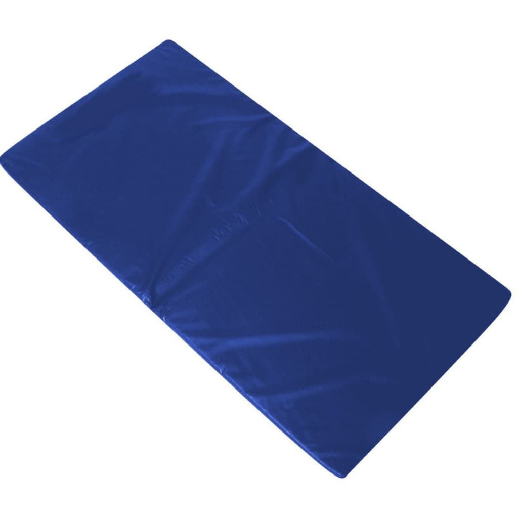 PROMOÇAO COLCHONETE ACADEMIA AZUL / YOGA / PILATES - 90x40x3cm - DUPLA COSTURA TRAVETADA SC