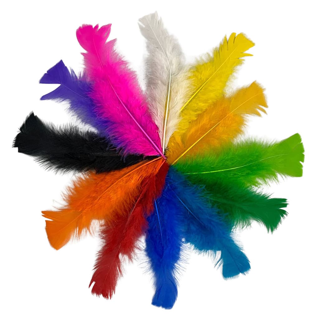 Penas Coloridas de Galinha 600 Unidades uso escolar 8 a 15cm