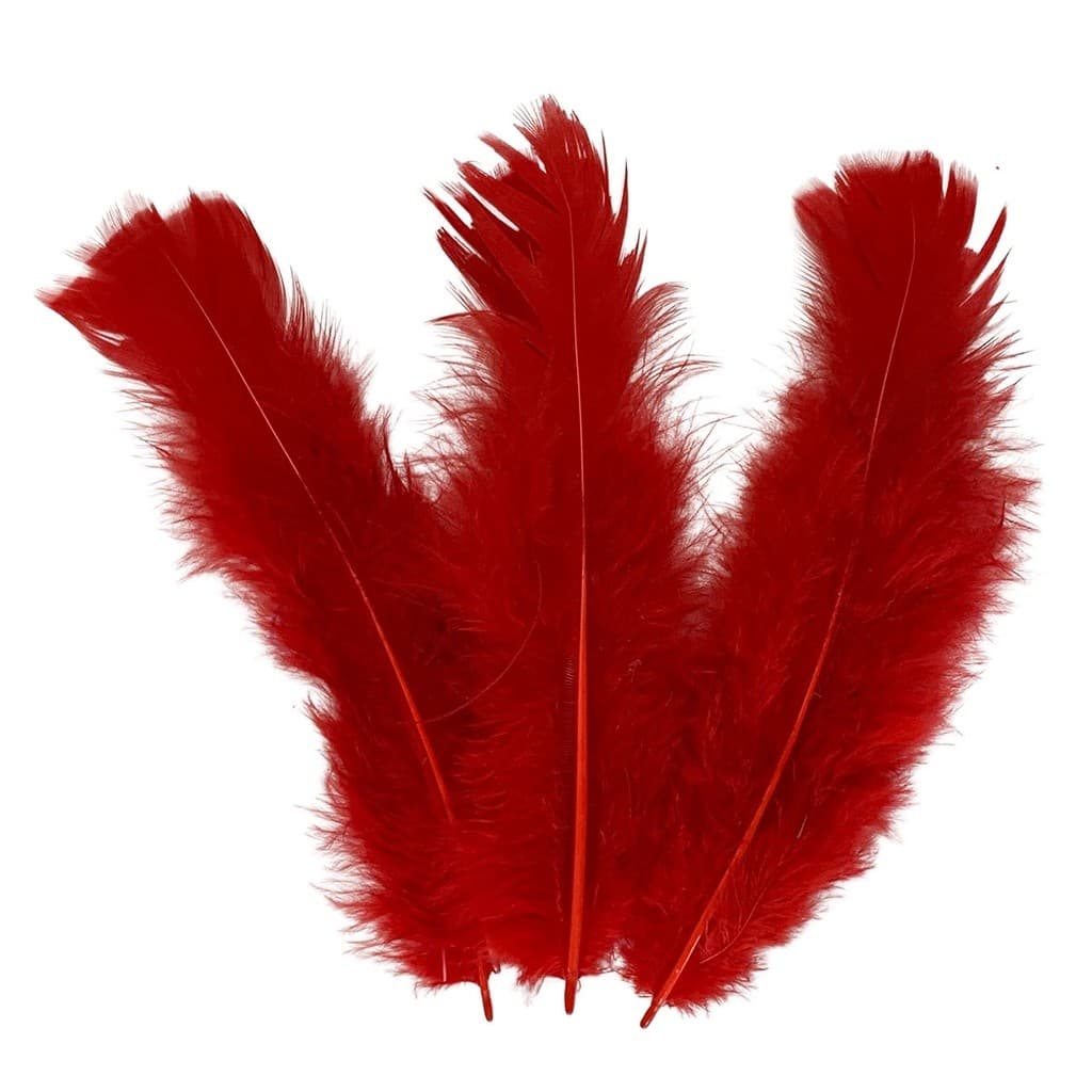 Plumas e Penas Coloridas 200 uni  Vermelho