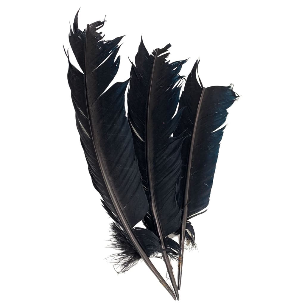 Plumas e Penas de Pato 25 uni  Preto
