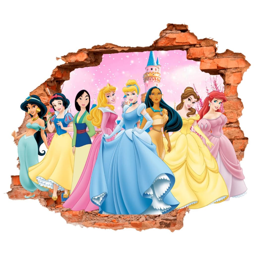 Adeisvo 60x60 de Parede Buraco Falso - Princesas Disney