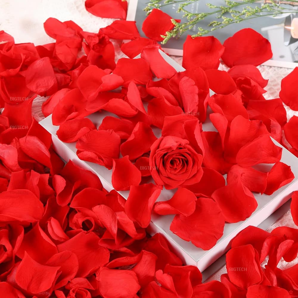 Flores Artificiais Bunga Para Decoração Simulada Festa Aniversário Com 1000 Pétalas De Rosa