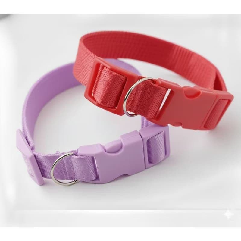 Coleira Para Cachorro Porte Pequeno Ajustável( Fita de 15mm)Resistente e Ótima Qualidade. Coleira Cachorro Porte Pequeno