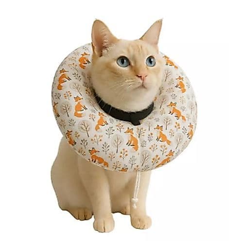 Colar Elizabetano Protetor Pescoço Pets Ajustável Confortável Recuperação Pós Cirúrgico Cães e Gatos