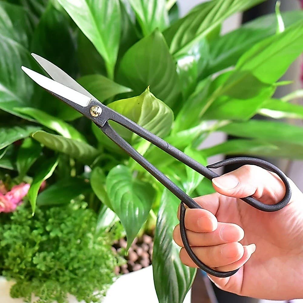 Iniciante Bonsai Ferramenta Alça Longa Tesoura Preta Ramo Tesouras De Poda Para Organizar Flores E Aparar Plantas Ferram