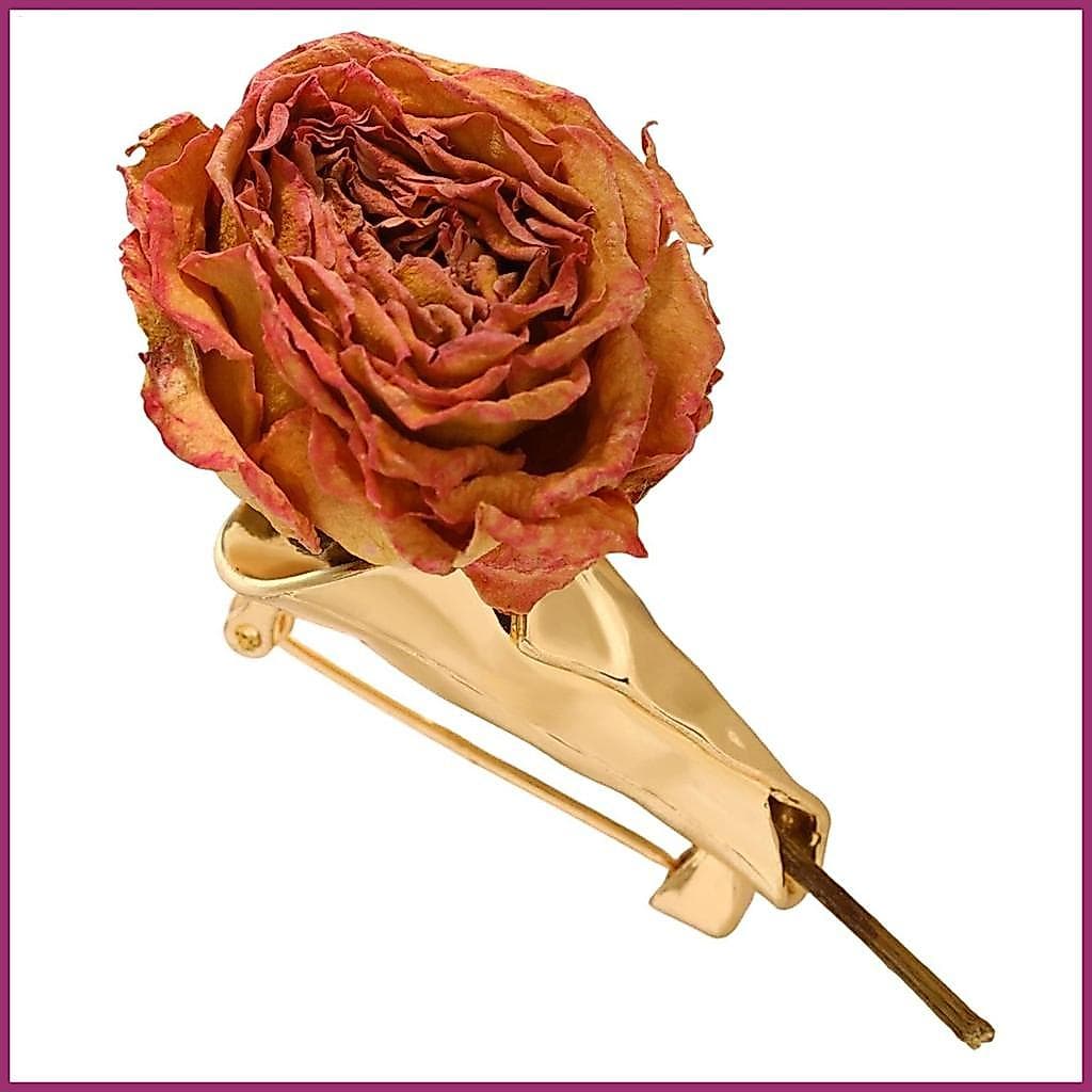 Broches E Alfinetes Para Mulheres Em Forma De Ramo , Inserção De Flores , Fantasia Da Moda , Joias , Broche Suéter , Cac
