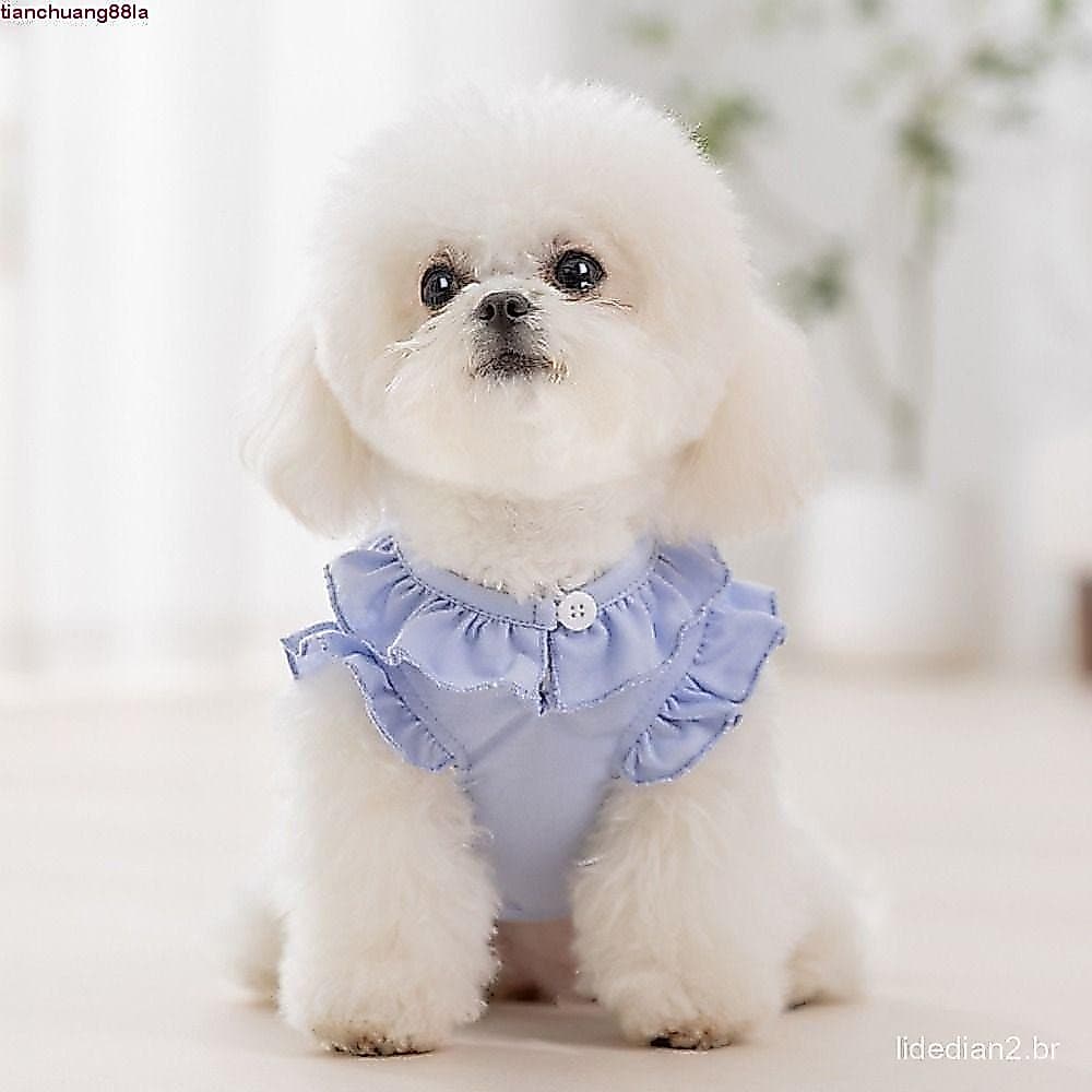 TIANCHUANG Primavera Verão Colete Para Cachorro , Respirável Bonito Gato Cão Babado Topos , Macio Coelho Padrão Roupas A