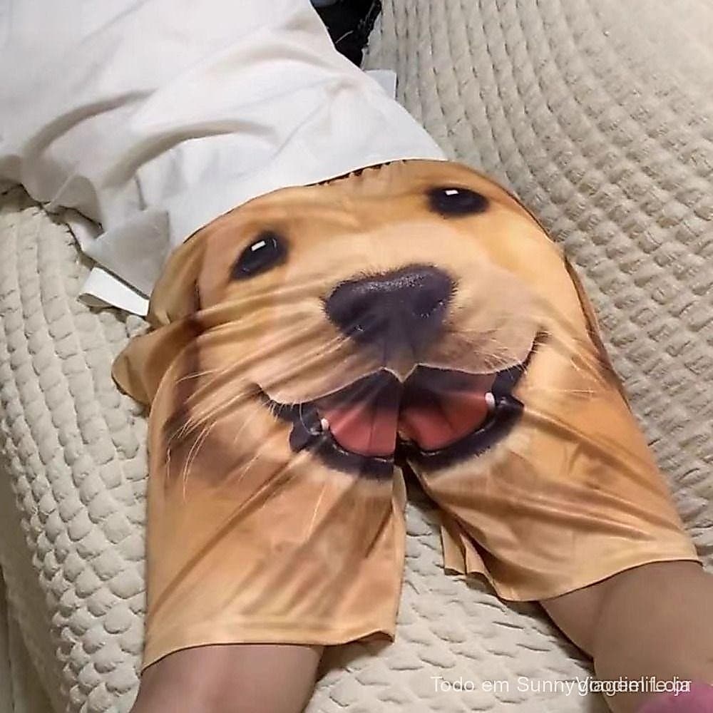 Shorts De Cabeça De Cachorro BEBETTFORM , Calças De Cinco Quartos Fofas E Engraçadas Para Casal , Masculinos Com Estampa
