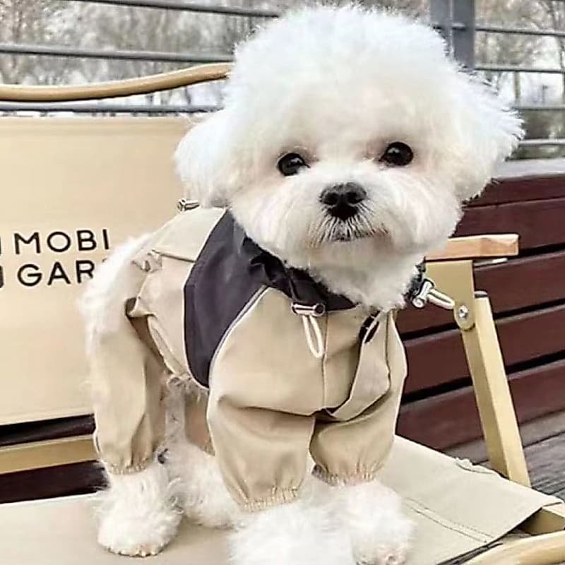 Capa de chuva para animais de estimação - Roupa para cães de pequeno porte, proteção contra chuva e sol, casaco impermeá