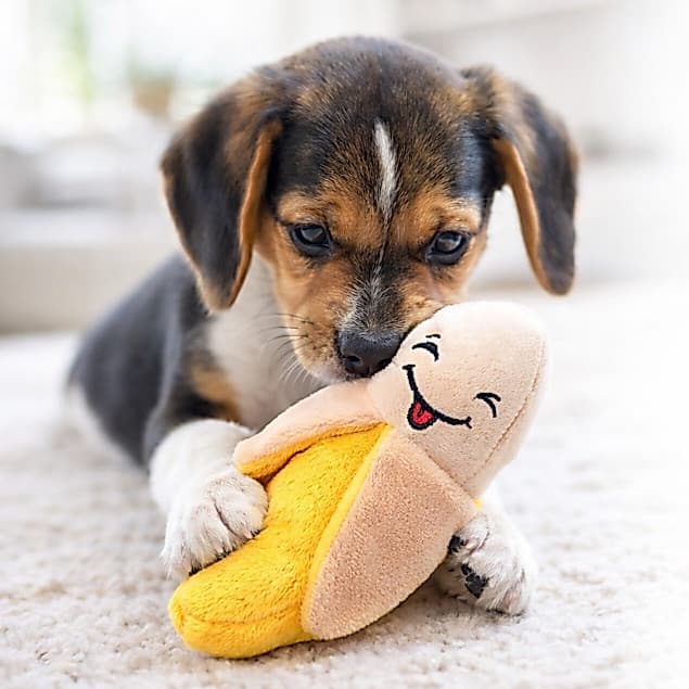 Brinquedo Mordedor Banana Divertida Pet de Pelúcia Para Cachorro Cães e Gato