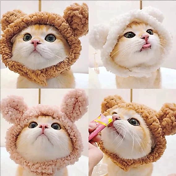 Chapéu Para Animais De Estimação Capacete De Animal De Pelúcia Gato Fofo Cachorro Pequeno Tricotado Quente