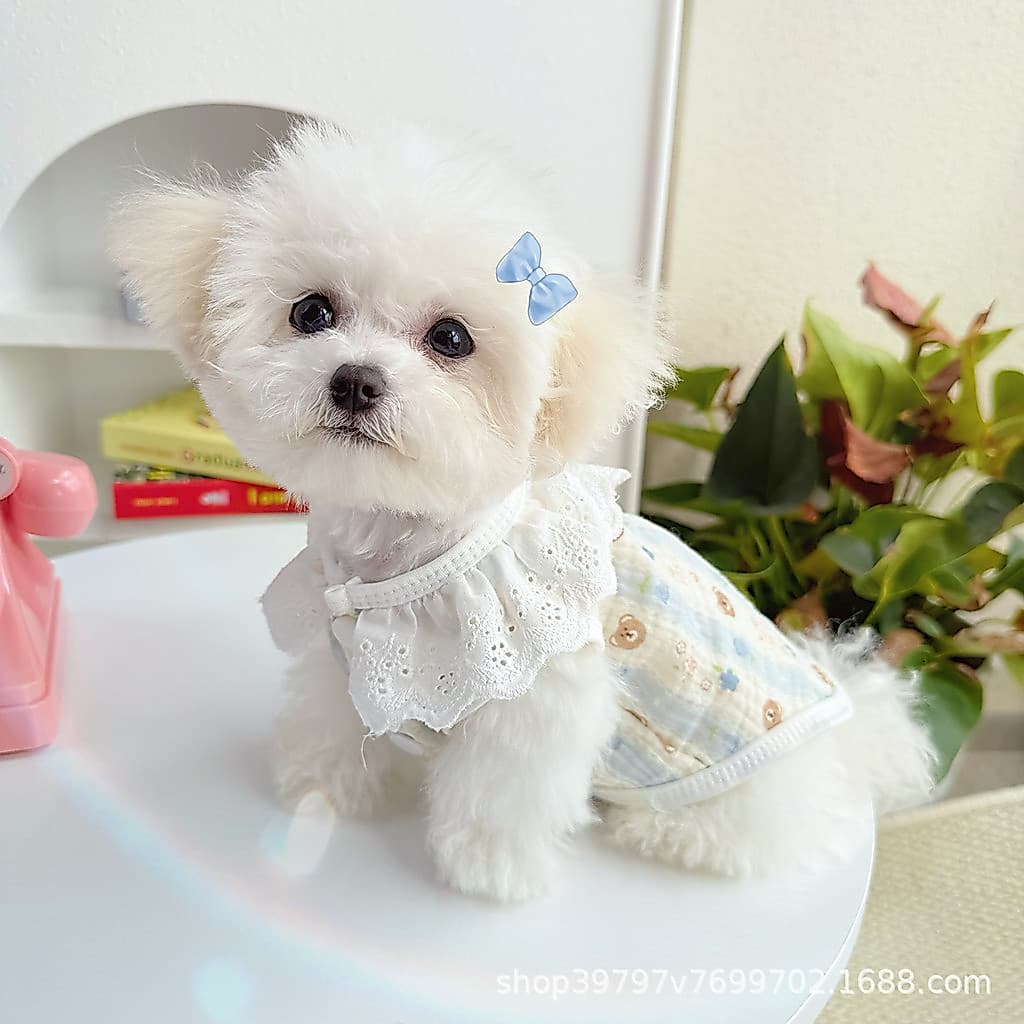 Vestido De Verão Para Cachorro Pequeno , Roupas Fashion Estampadas , Saia De Princesa , Laço Doce , Gato , Fantasias Ani