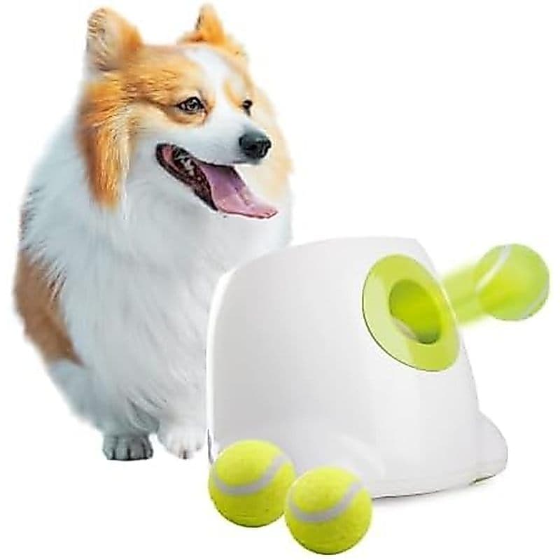 ALL for PAWS Lançador Automático De Bolas Para Cães , Brinquedo Interativo De Busca Médios A Grandes , Máquina Recarregá