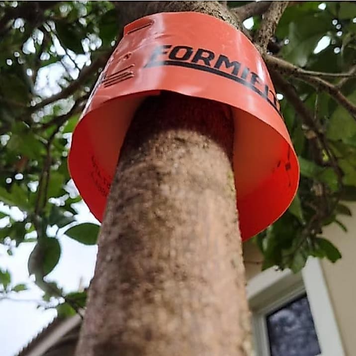 2m Formifita Laranja Barreira Ecológica Contra Formiga Cortadeira