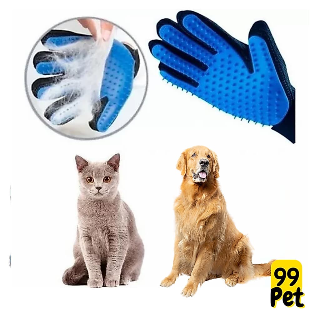 Luva Tira Pelos Pet Removedor Rasqueadeira Profissional Pet Cor Azul cachorros e gatos