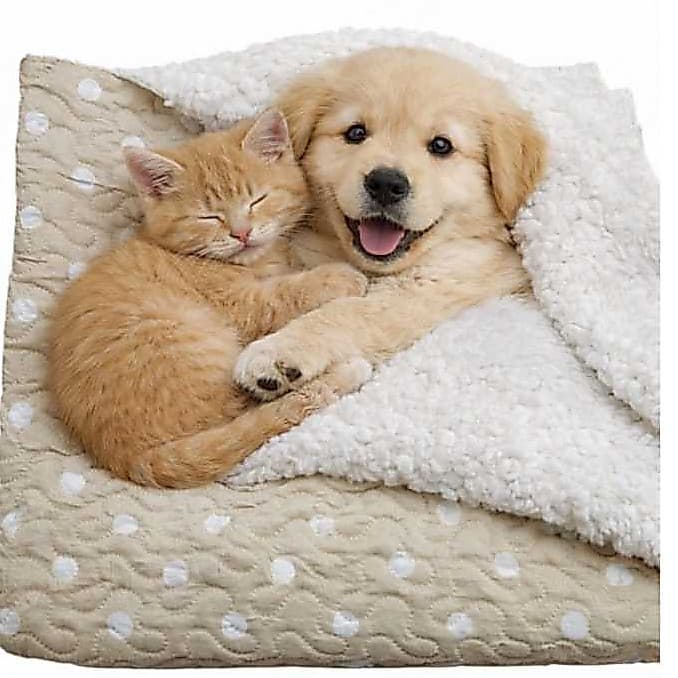 Manta Cobertor Pet Fofinha e Macia – Conforto e Carinho para seu animal de estimação