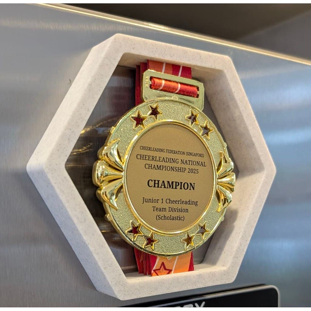 Expositor de Medalhas com Ímã - Para Geladeira e Painel de Metal Decorativo