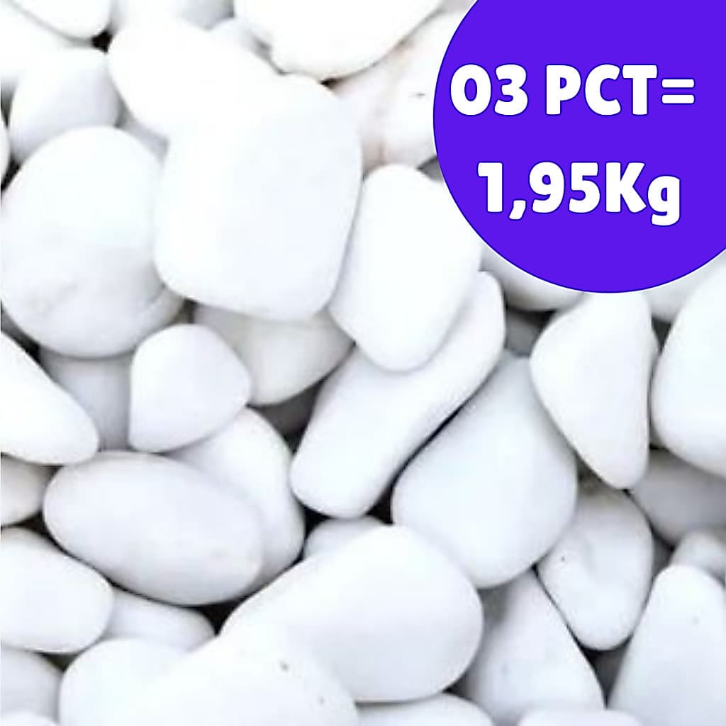 Pedra Dolomita Decorativa Vasos Aquários Arranjos Cor Branca 650g - 03 pct