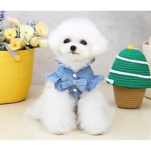 Vestido de Jeans com Fecho de Pressão Barra com Babados e Anexo para Coleira em Forma de D, Vestuário de Primavera/Verão