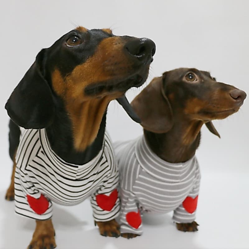 Roupas Para Cães E Gatos De Estimação , Moletom Com Camada Base Listrada De Coração O Dia Dos Namorados , De Casal , Dac