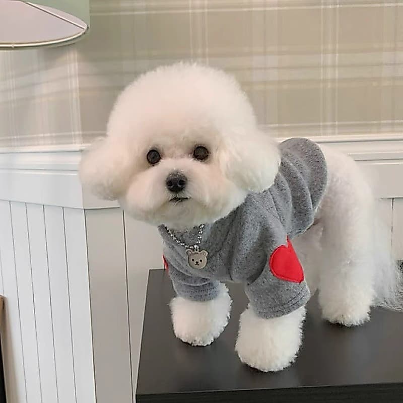 Pulôver Para Animais De Estimação Moda Amor Padrão Camisa Cachorro Confortável Gato Quente Com Capuz De Duas Pernas Roup